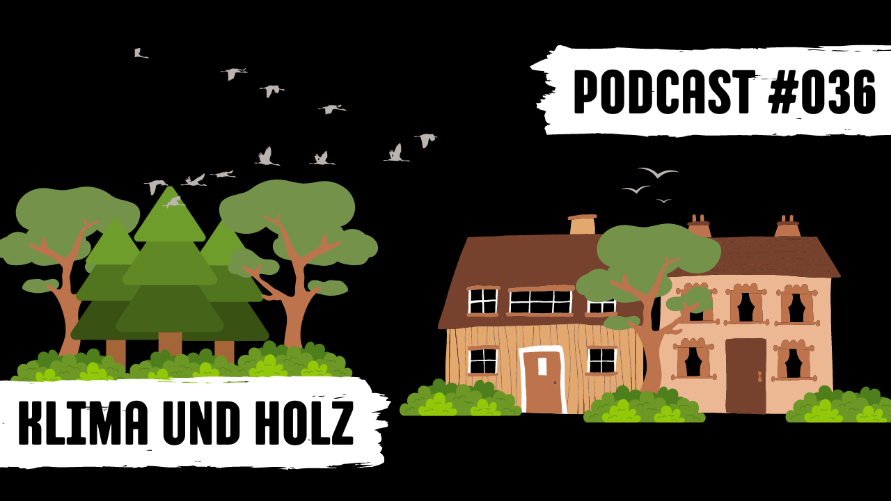 Titulní obrázek Podcast # 036 Klima a dřevěné stavby