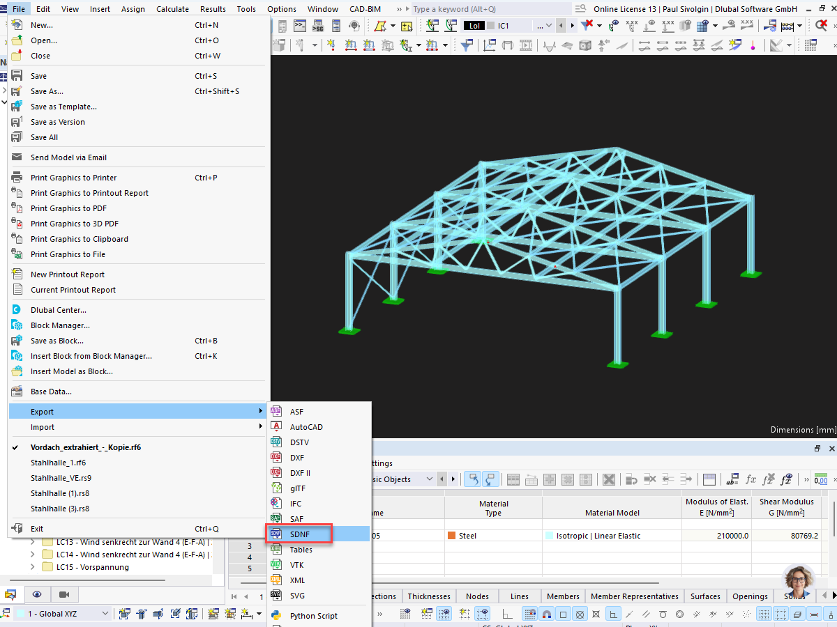 Export SDNF z programu RFEM 6