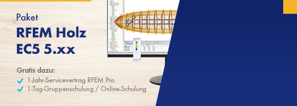 Paket RFEM Holz EC5 5.xx