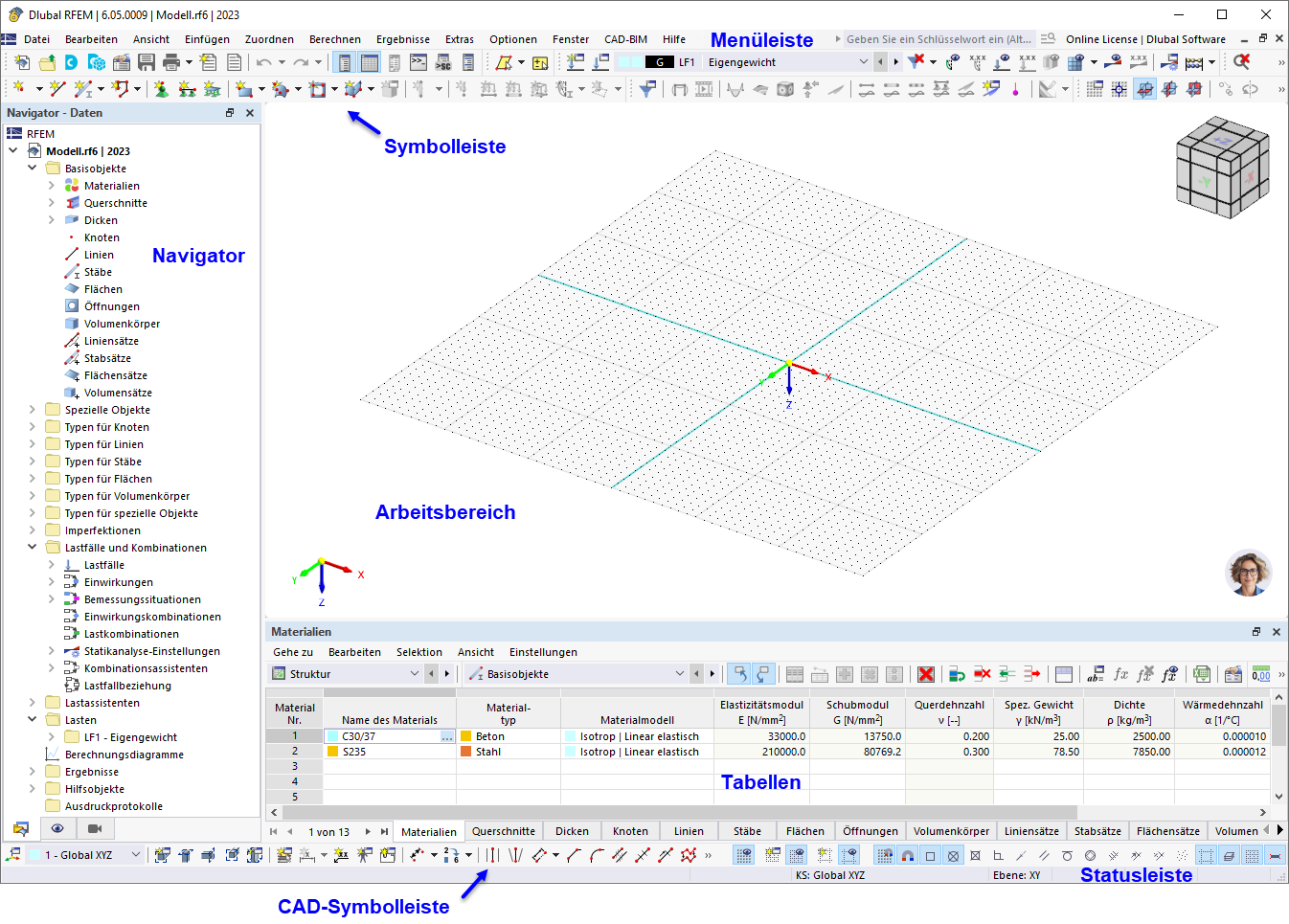 Benutzeroberfläche von RFEM