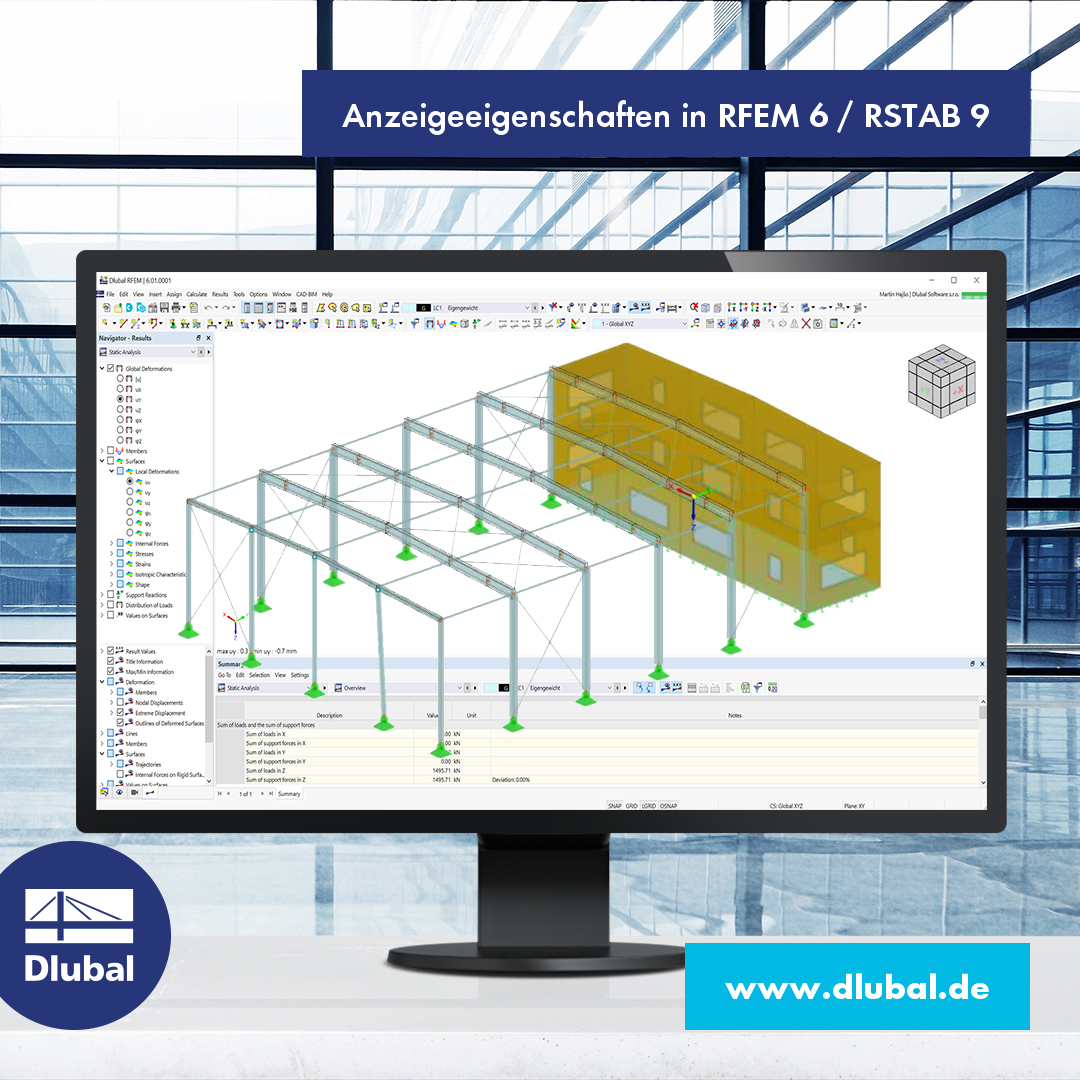 Anzeigeeigenschaften in RFEM 6 / RSTAB 9