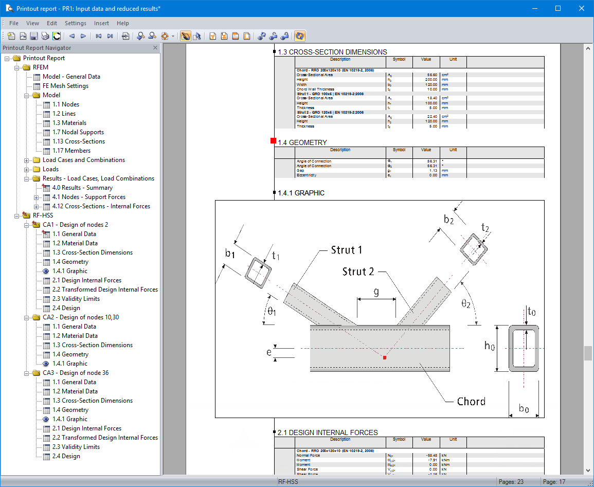 Input and Result Data in Printout Report