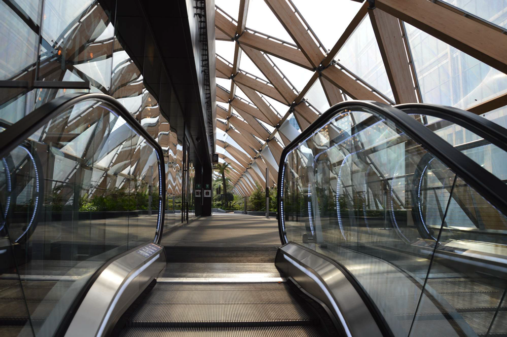 Entrance to Rooftop with Garden