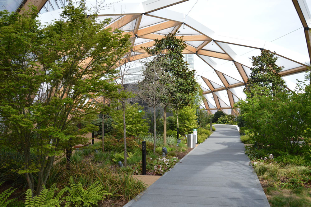 Rooftop Garden