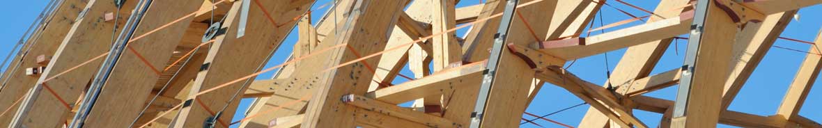 Timber Structure - Crossrail Station in Canary Wharf, London