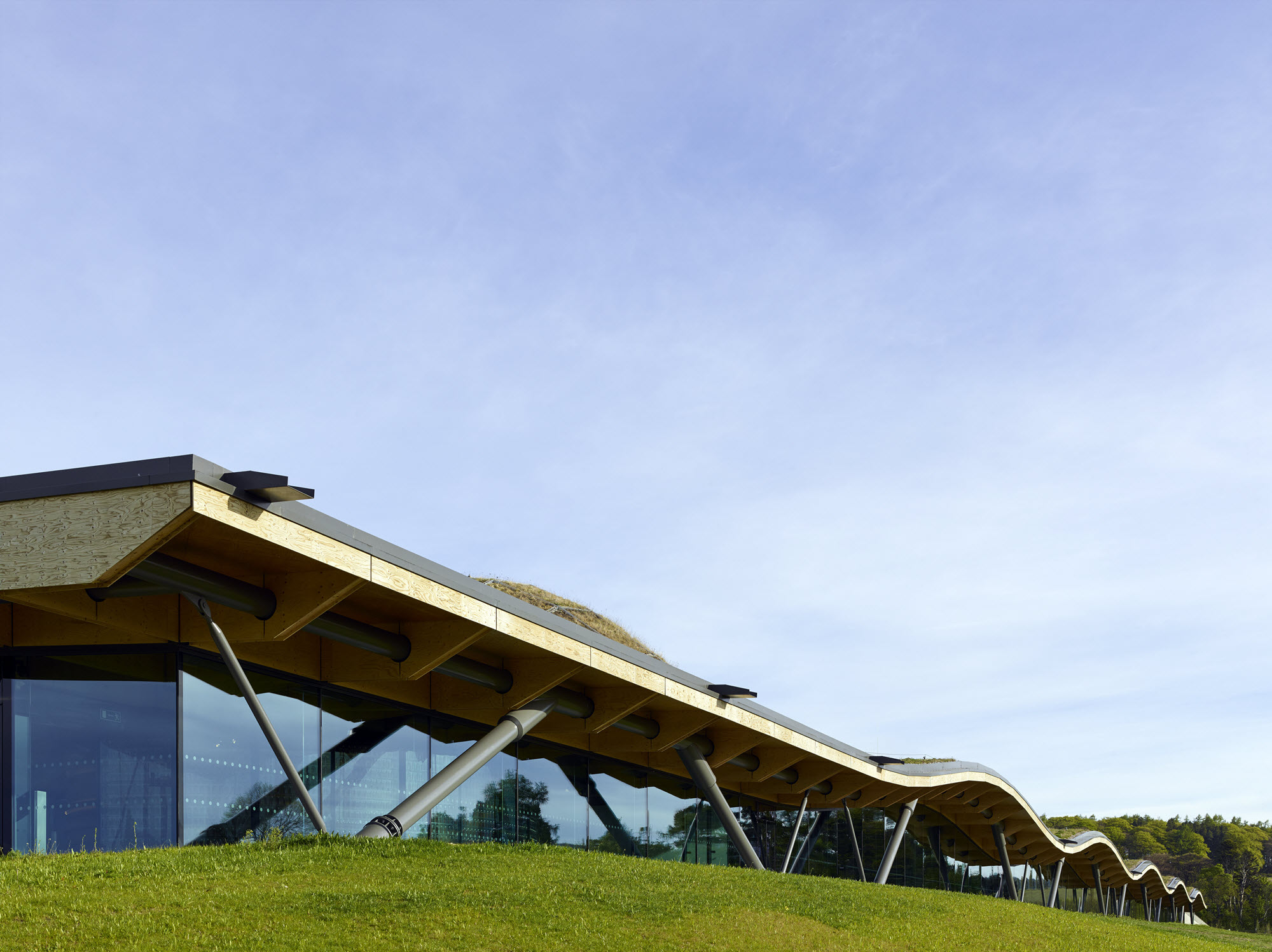 Timber Roof Structure