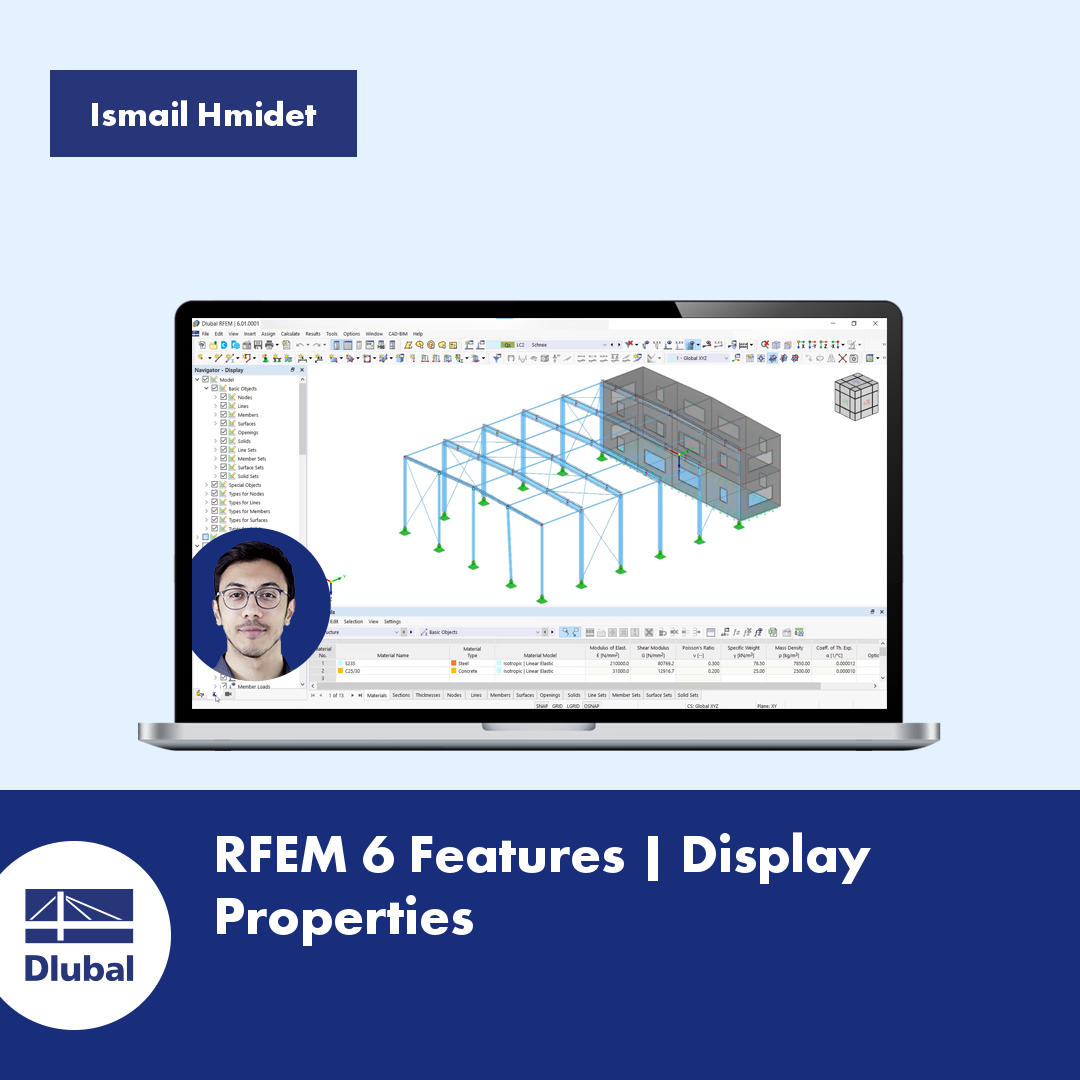 FEA Software RFEM and Structural Analysis Software RSTAB