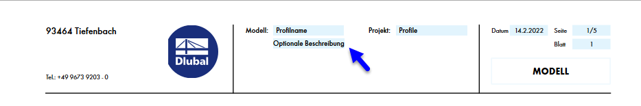 Model Description in Printout Report