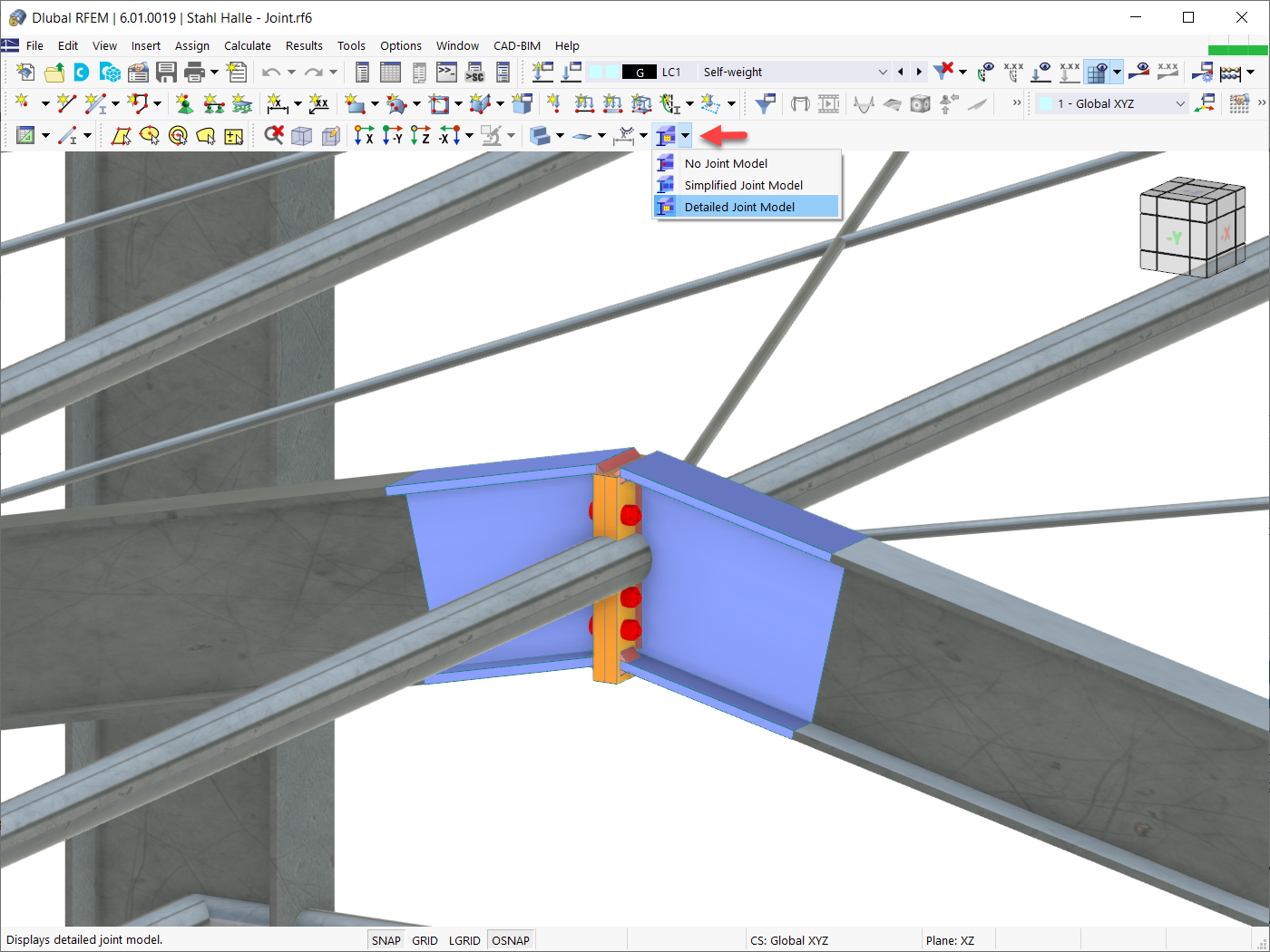 Detailed Joint Model