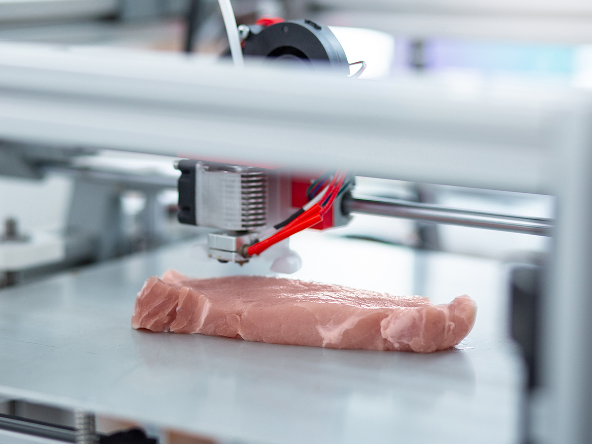 Meat Printed on 3D Printer