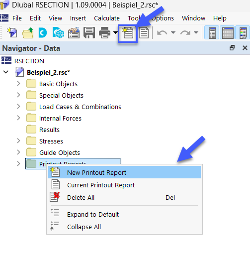 Button and Shortcut Menu "New Printout Report"