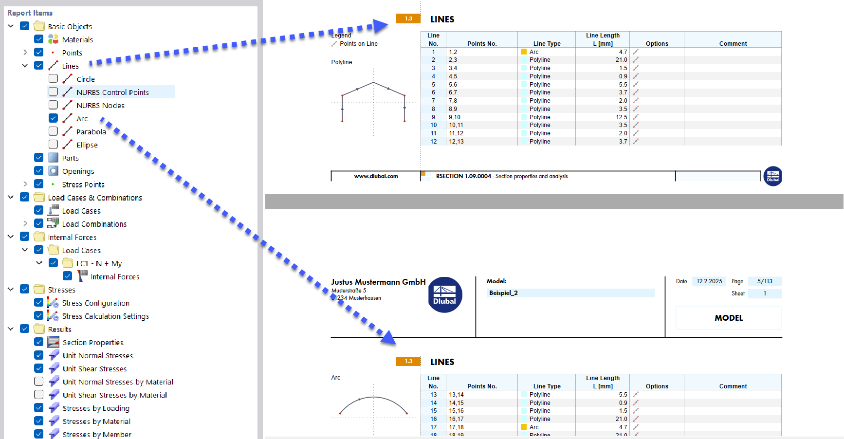 Selected Report Items (Left) and Chapter Content (Right)