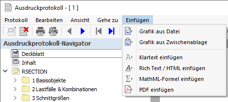 Printout Report Menu "Insert"