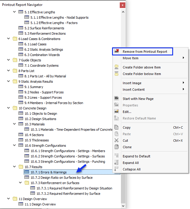 Removing Chapter from Printout Report