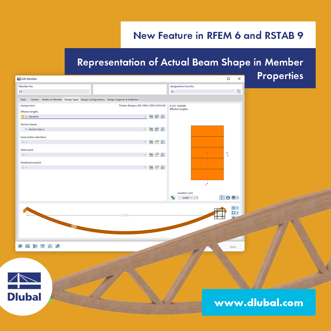 New Feature In RFEM 6 And RSTAB 9 | Representation Of