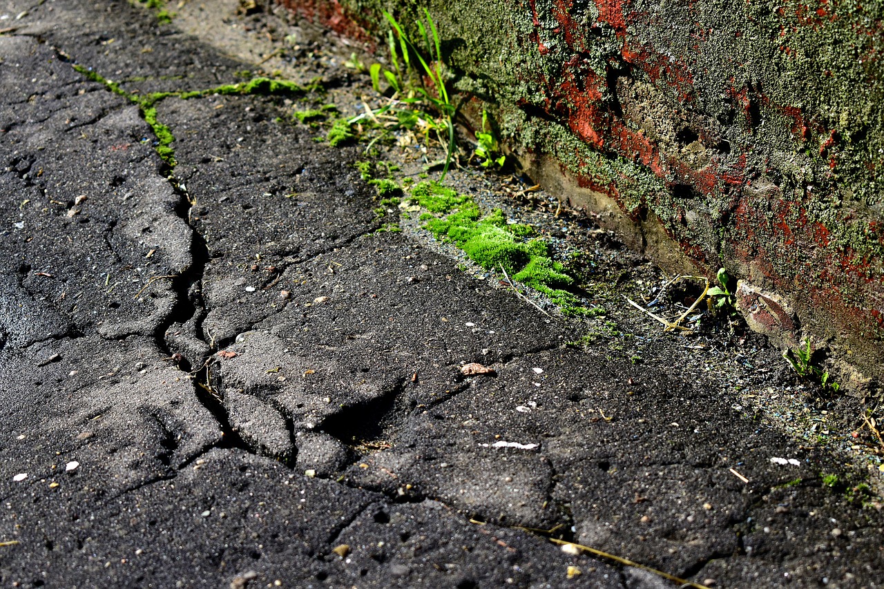 Cracks in Asphalt