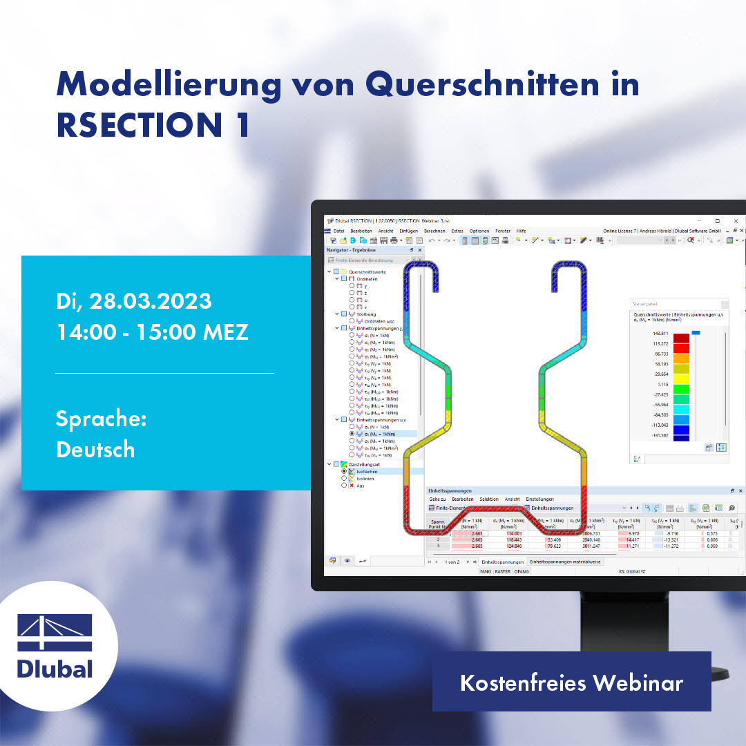 Modeling of Sections in RSECTION 1