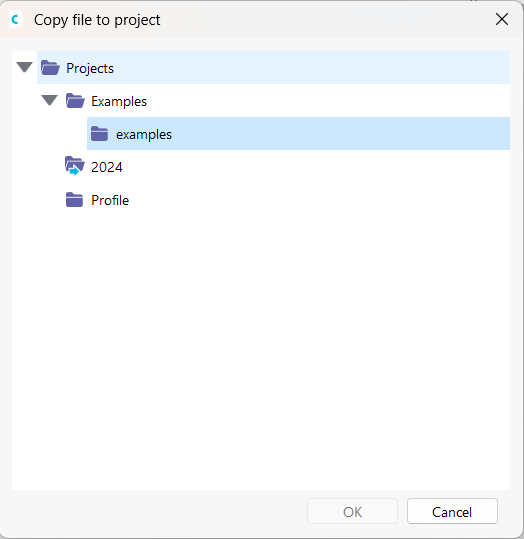 Copying Model in Project