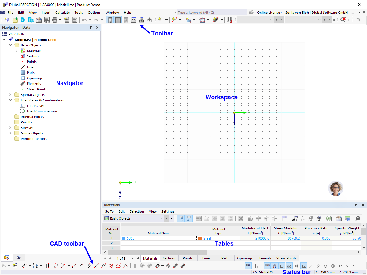 Graphical User Interface of RSECTION 