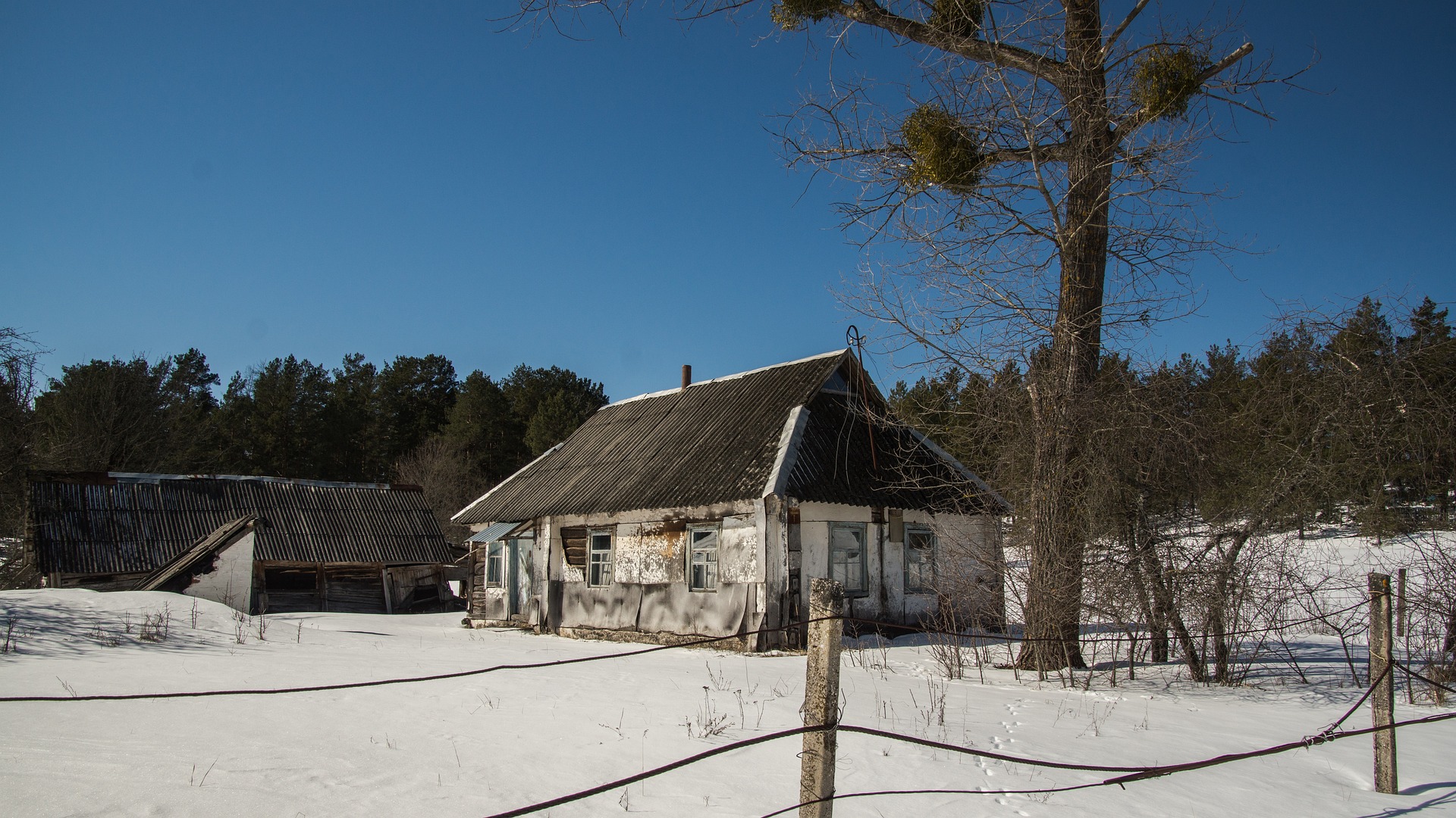 Many settlements around Chernobyl remain ghost towns today.