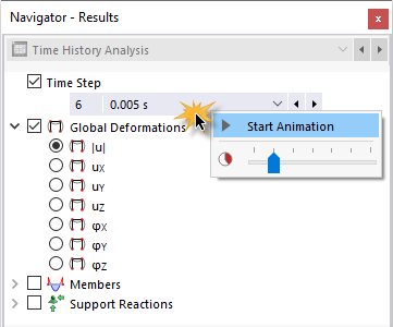 Start animation of time steps via context menu.