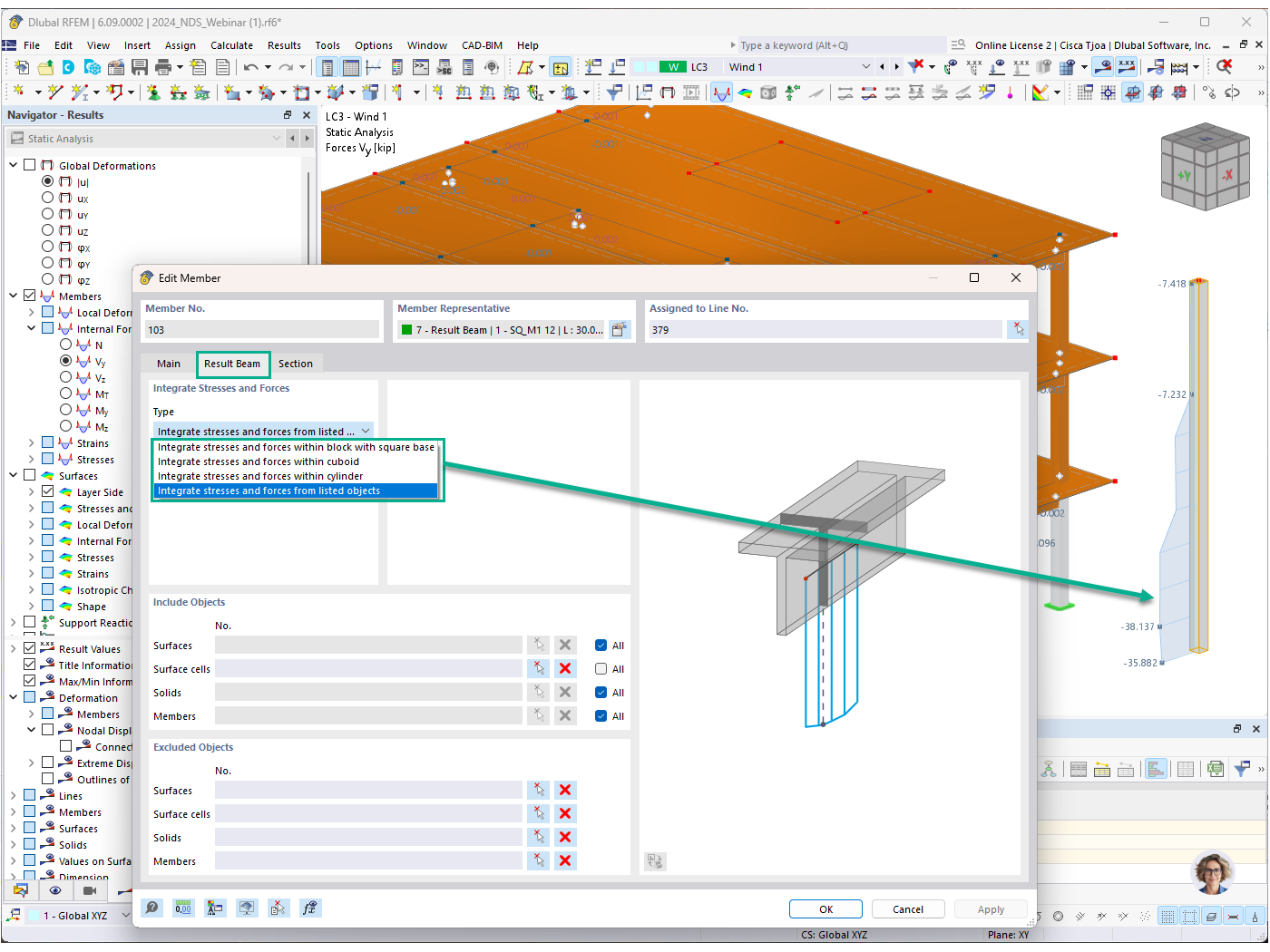 Technical display of the result line member type in RFEM, Feature 002926.