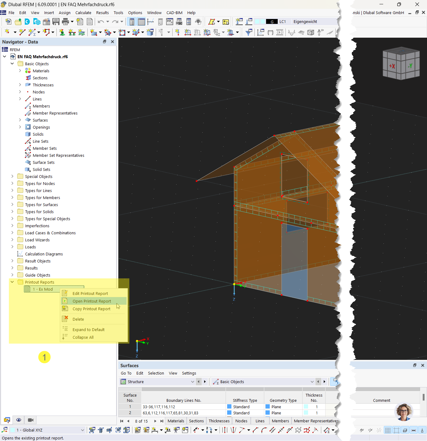 Editing Multi-Print: Opening Printout Report in Data Navigator