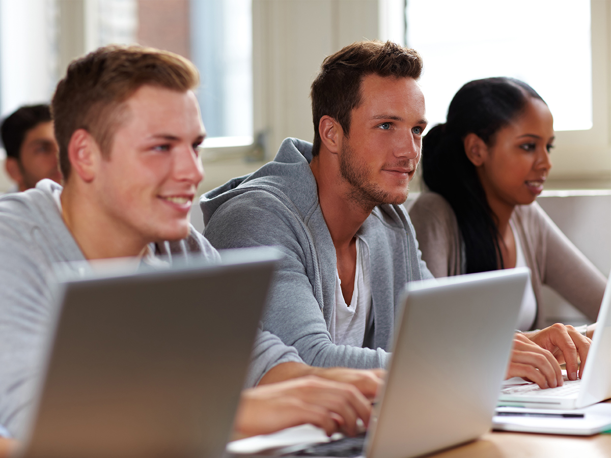 Software de análisis estructural para universidades