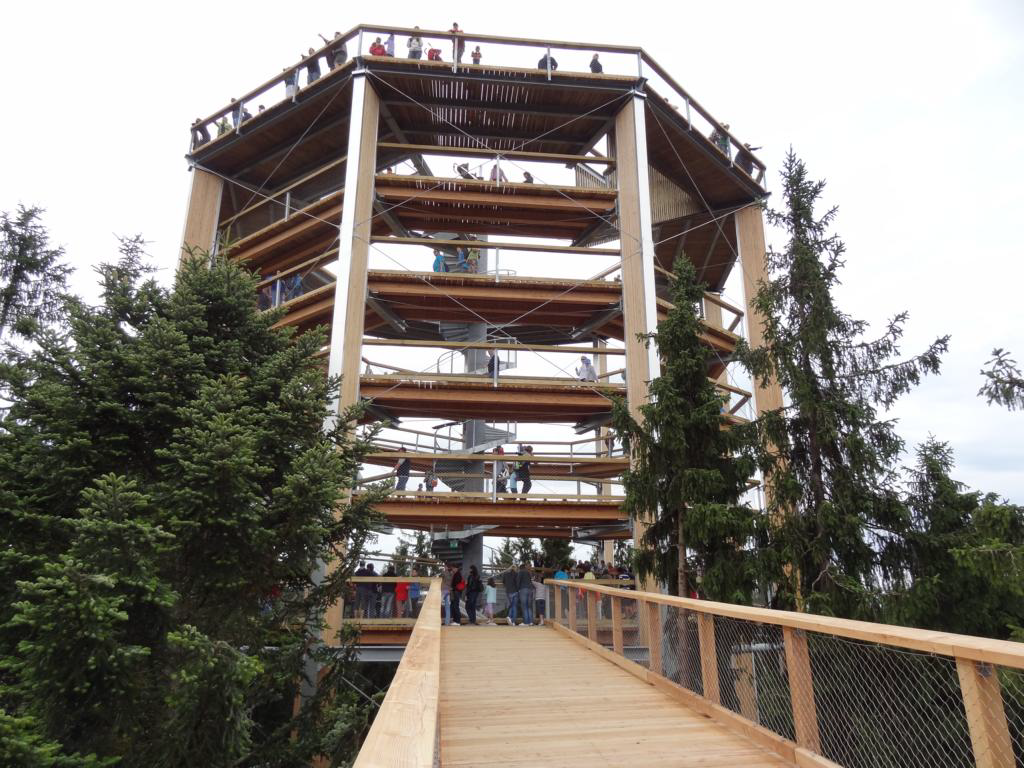 Torre del árbol con el paseo por las copas de los árboles conectado (© WIEHAG)