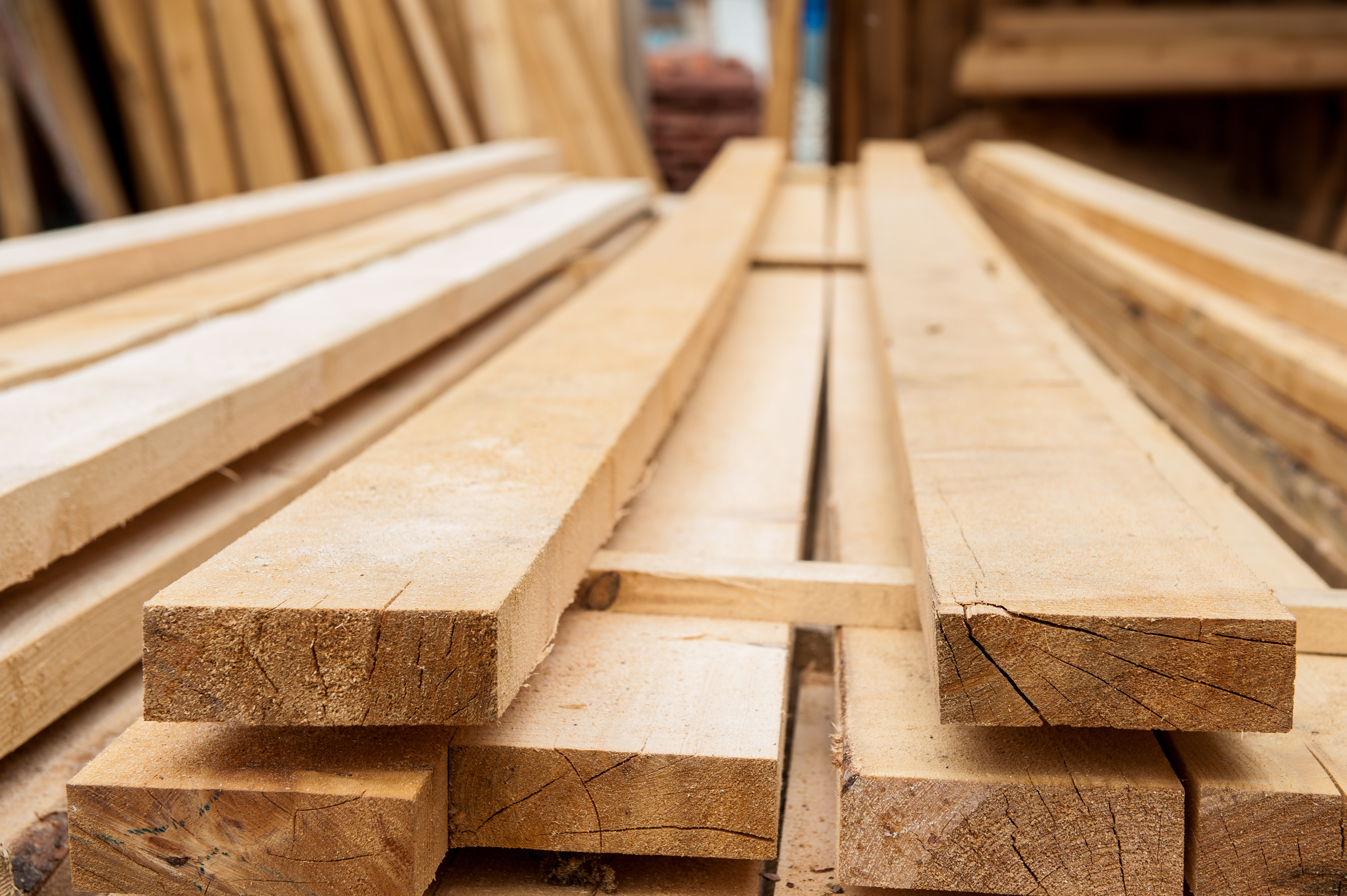 Holz im Sägewerk