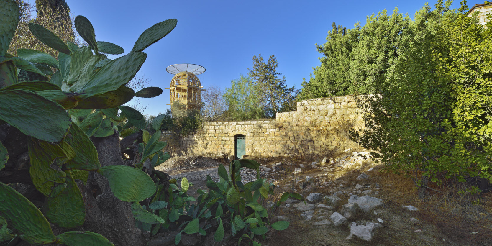 Vista de la estructura desde el jardín vecino