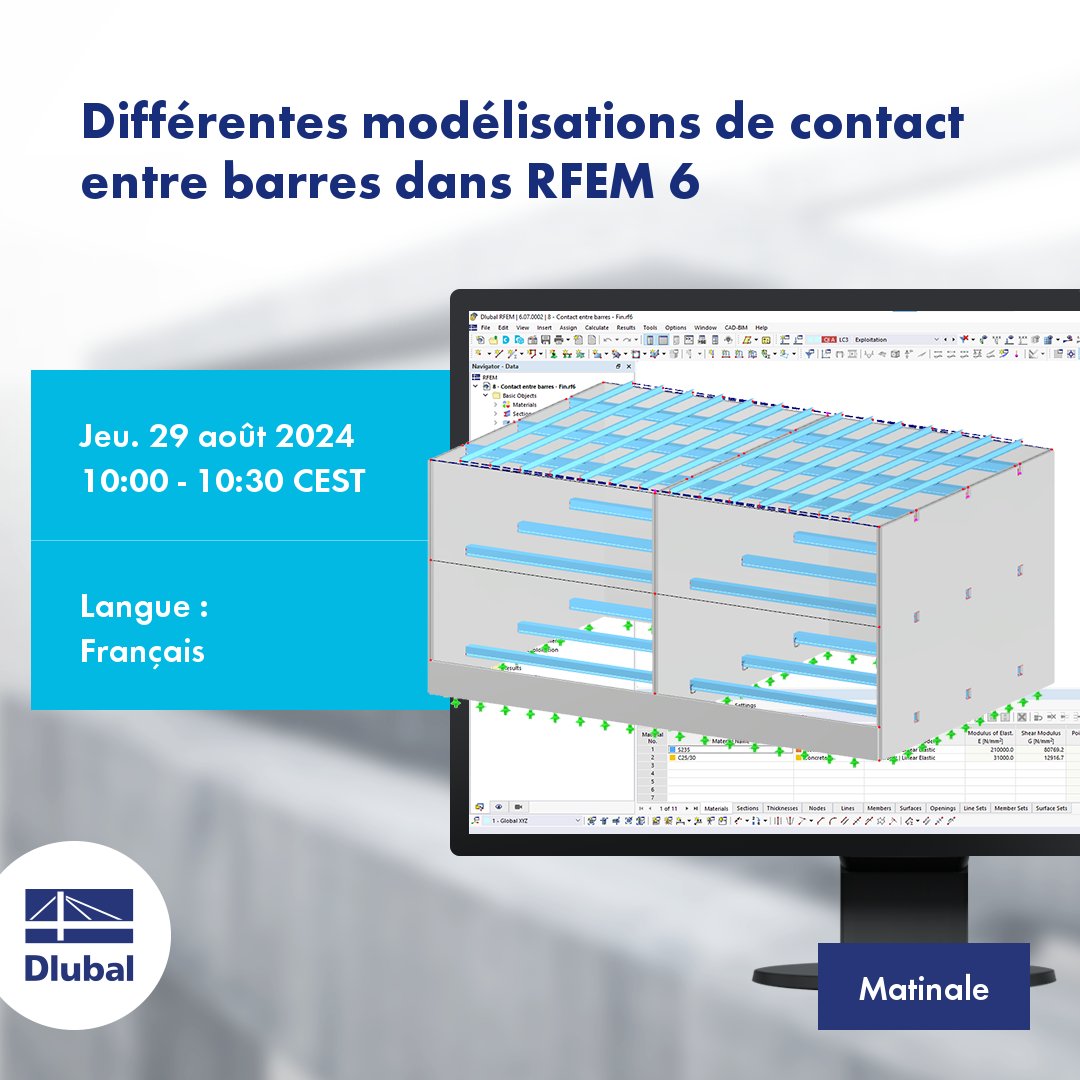 Diferentes modelos de contacto de barras en RFEM 6