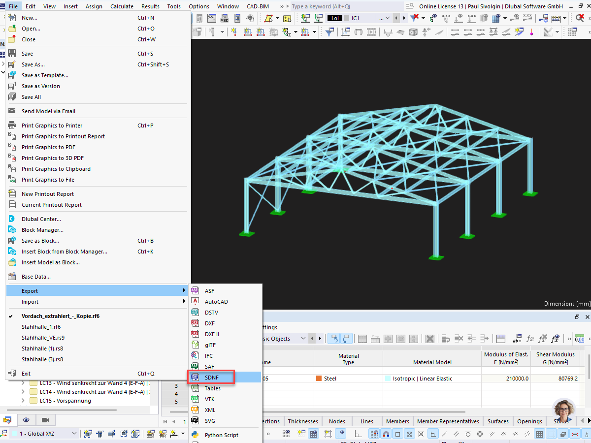 Exportación a RFEM 6 SDNF