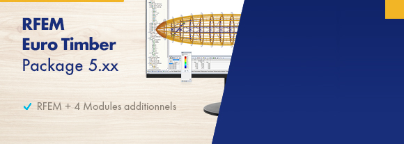 Paket RFEM Holz EC5 5.xx