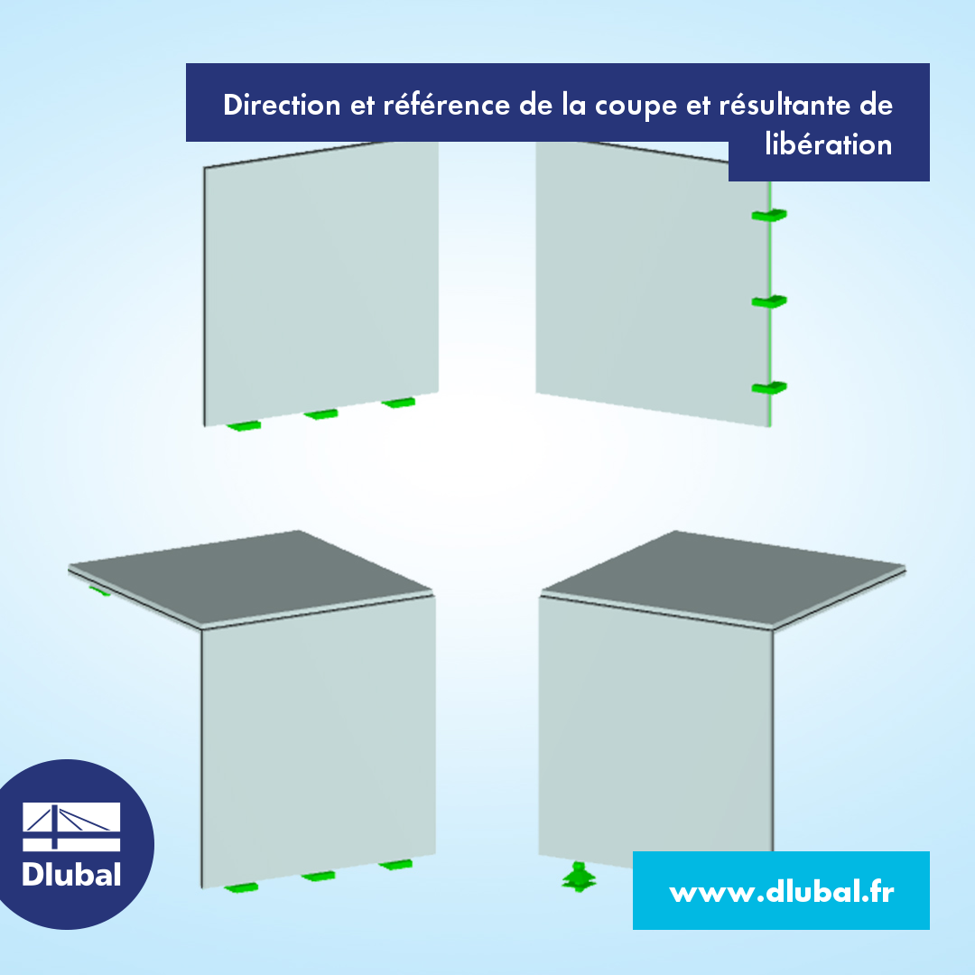 Direction et référence de la coupe et résultante de libération