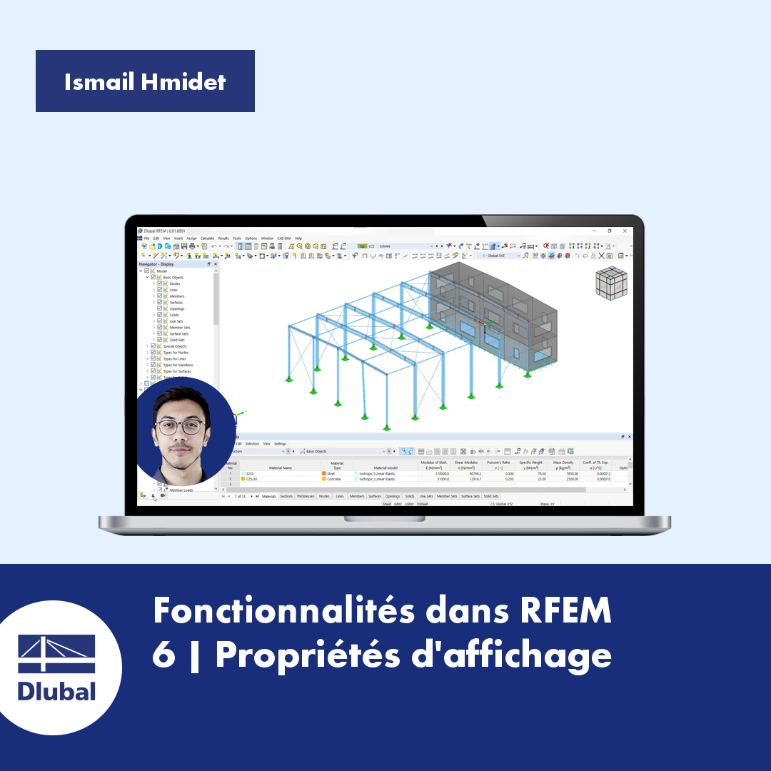 Logiciels de calcul de structure RFEM/RSTAB