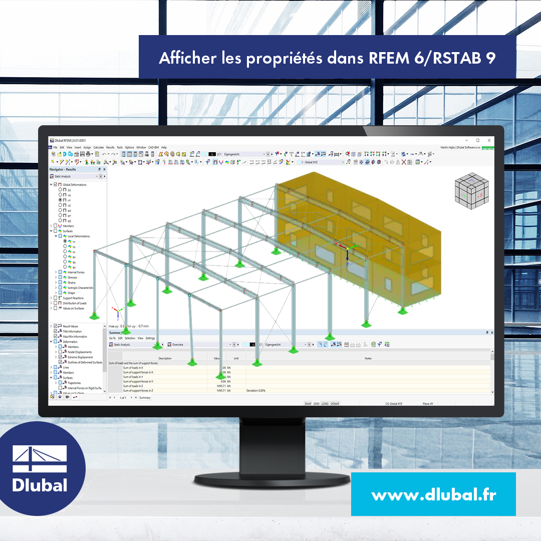 Afficher les propriétés dans RFEM 6/RSTAB 9