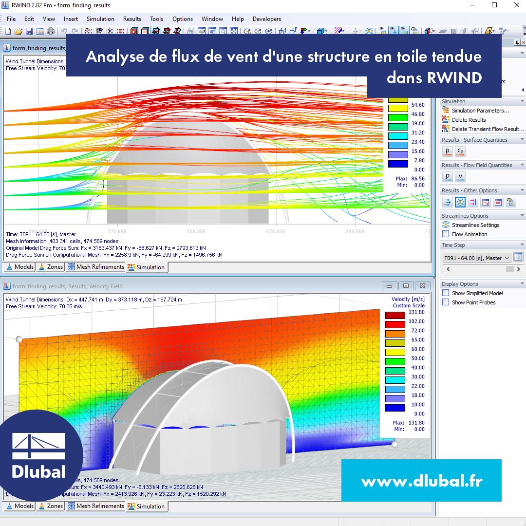 Analyse de flux de vent d'une structure en toile tendue dans RWIND