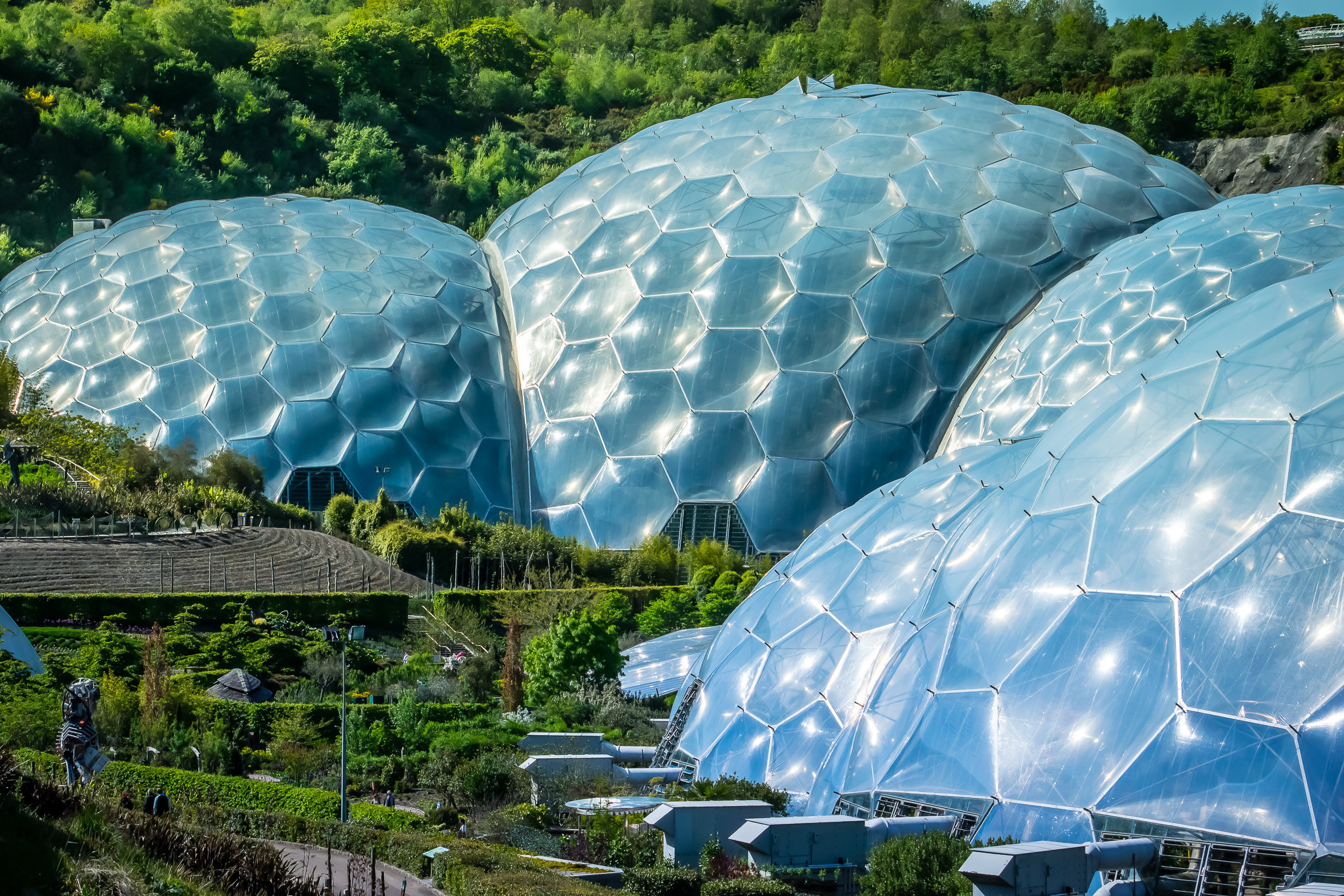 Biome « forêt tropicale » de l'Eden Project en Cornouailles, Angleterre