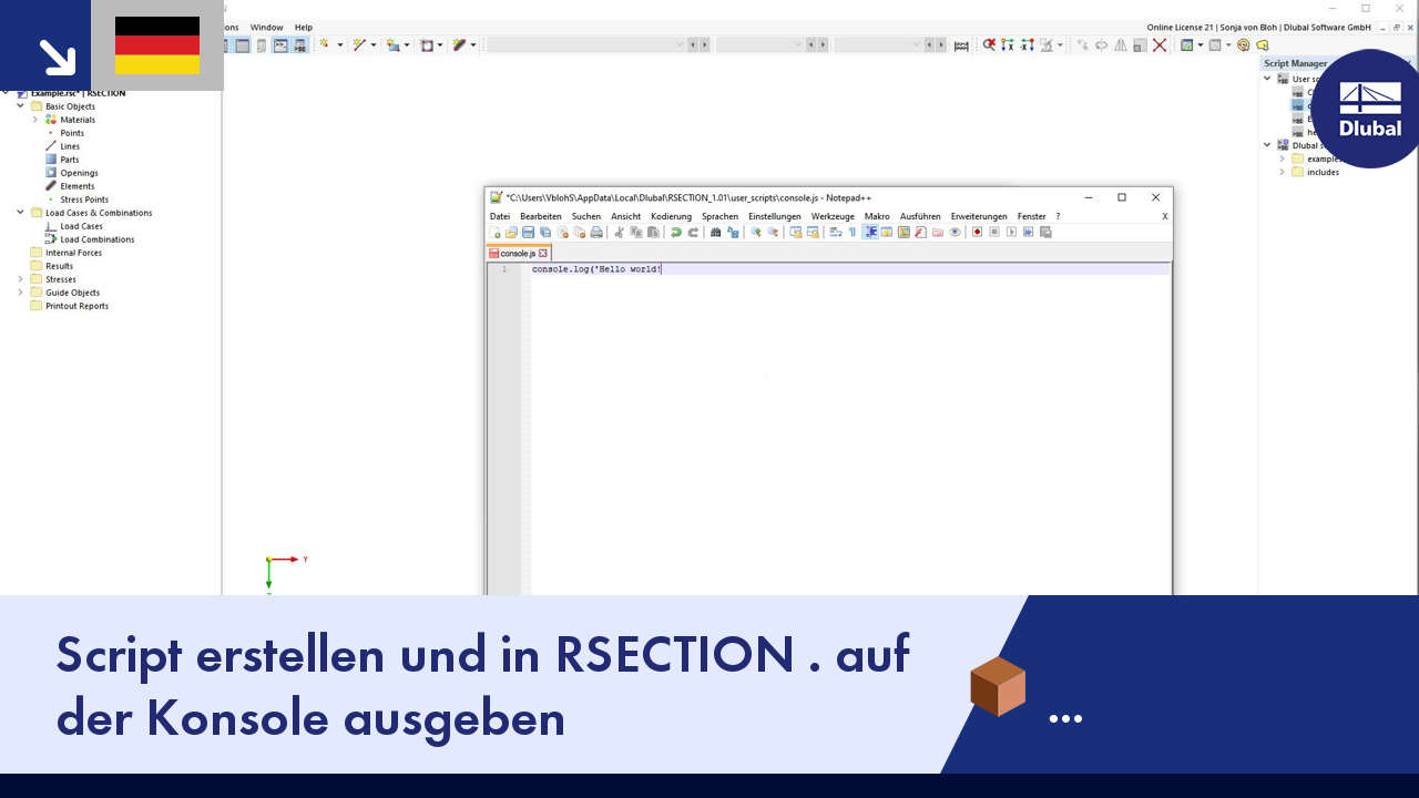 Creazione di uno script e output sulla console in RSECTION 1