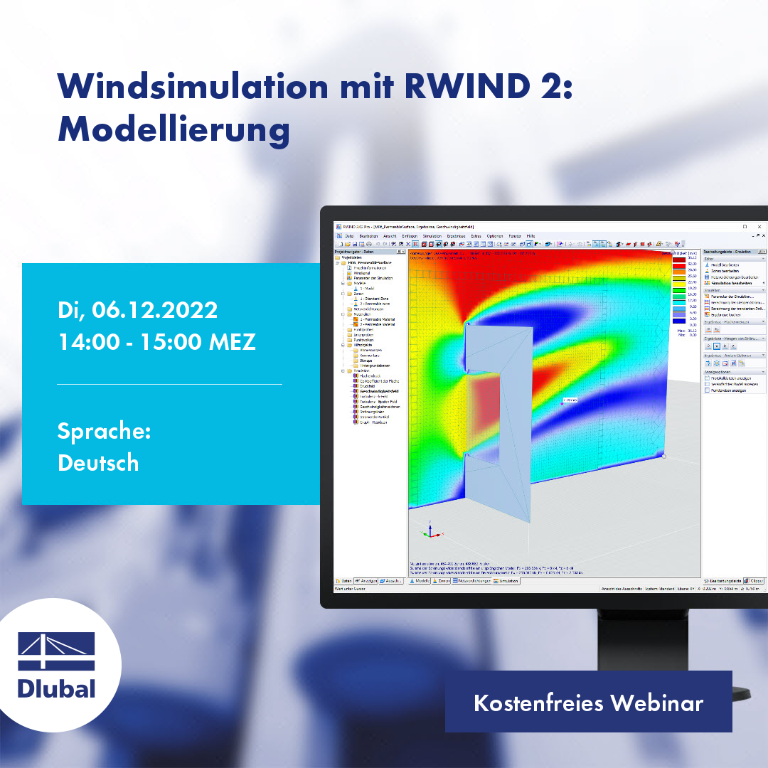 Simulazione del vento con RWIND 2: Modellazione