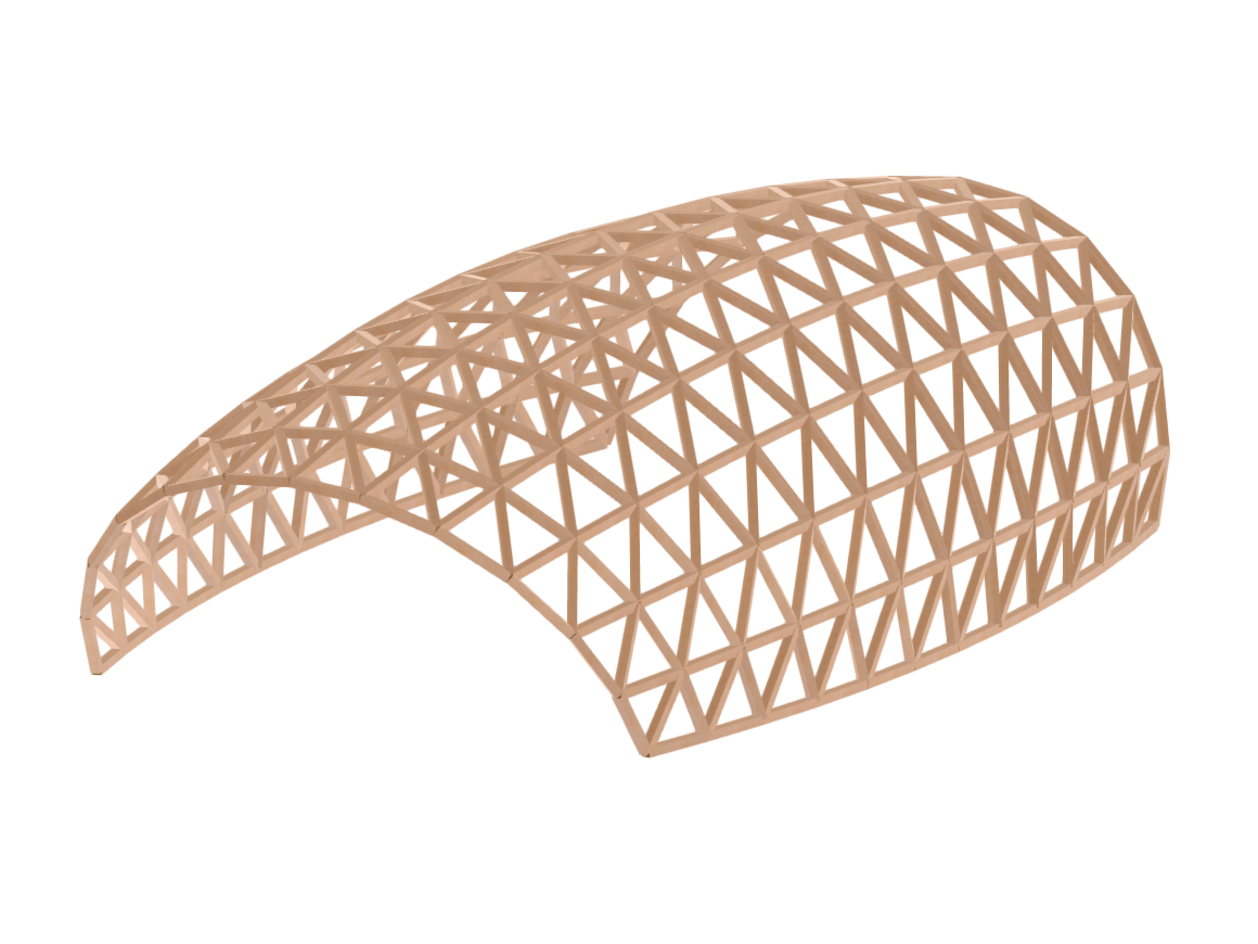 Modello 004929 | Gridshell in legno