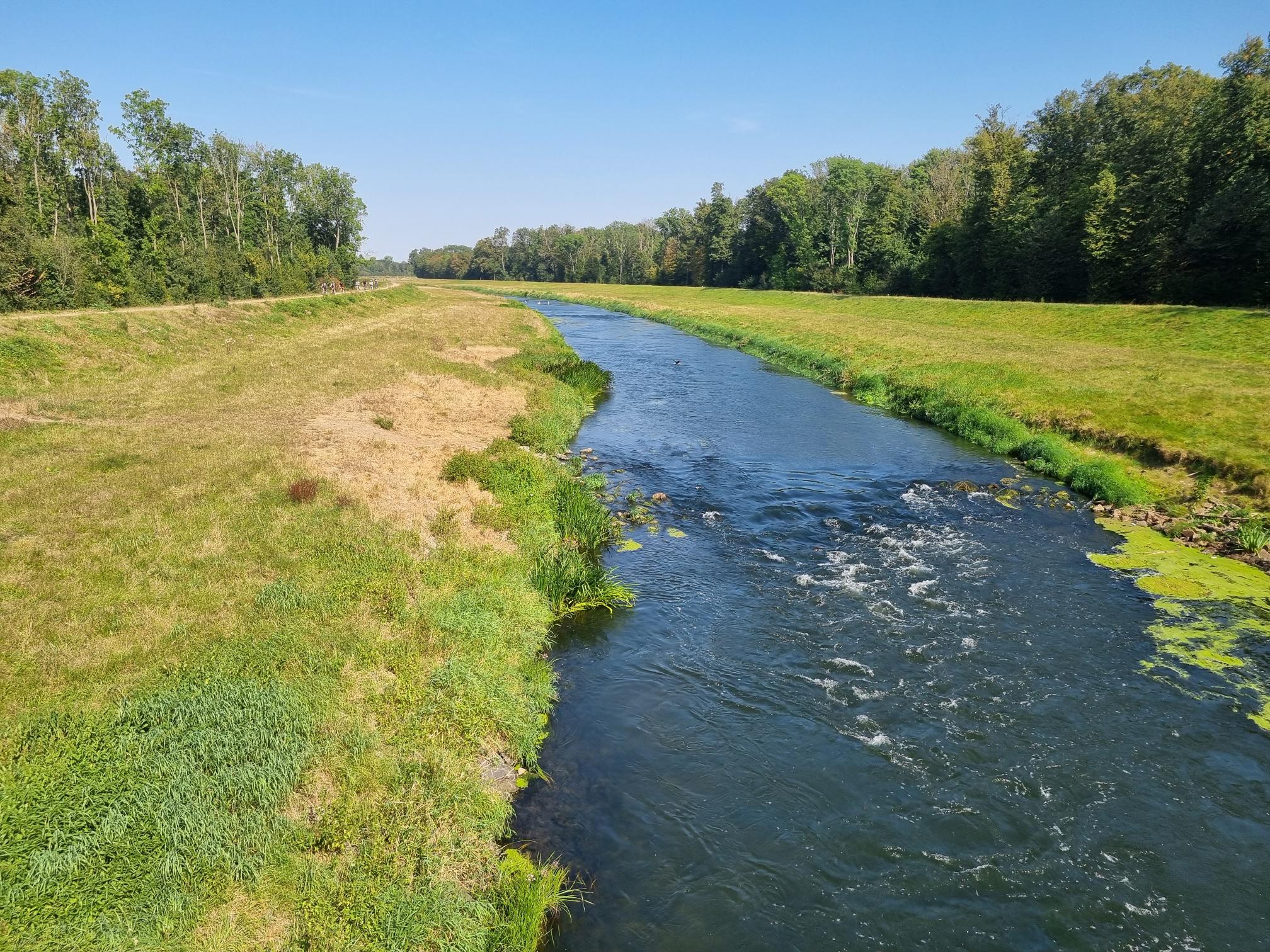 Sul Elsterradweg lungo il fiume New Luppe.