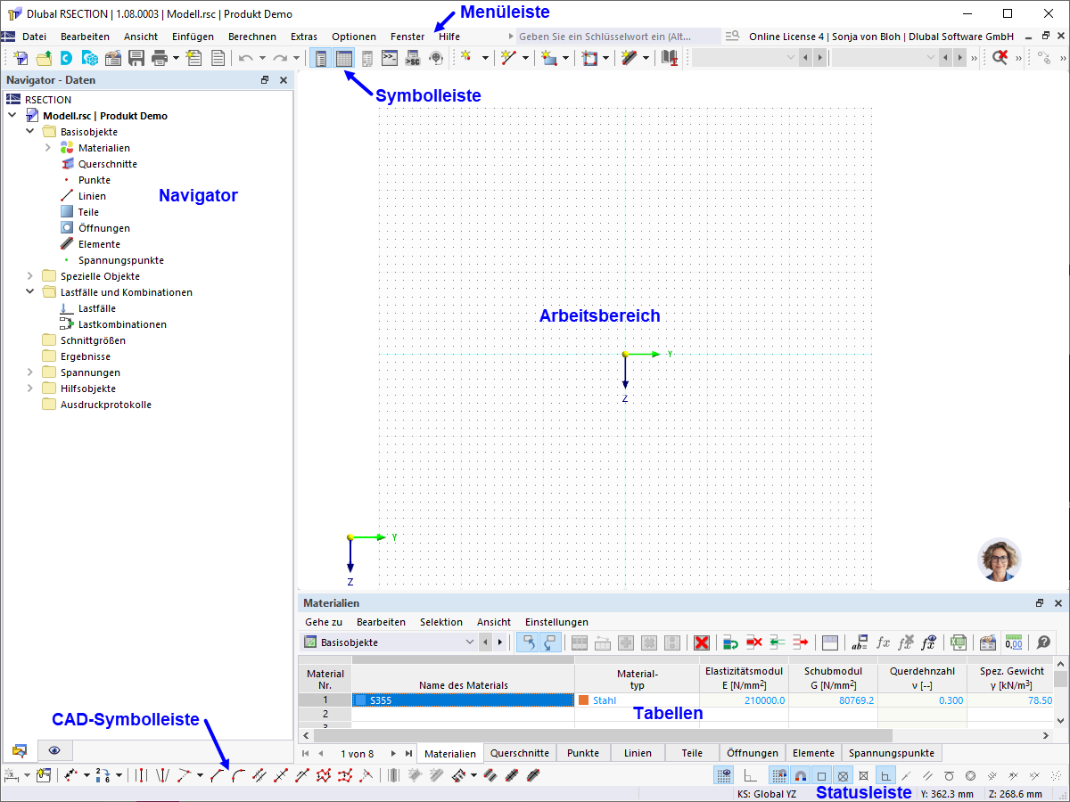 Interfaccia utente di RSECTION