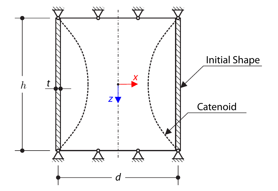 Catenoid