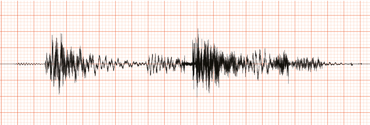 Akcelerogram dla dynamicznej analizy konstrukcji