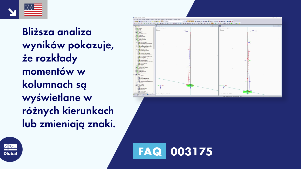 FAQ 003175