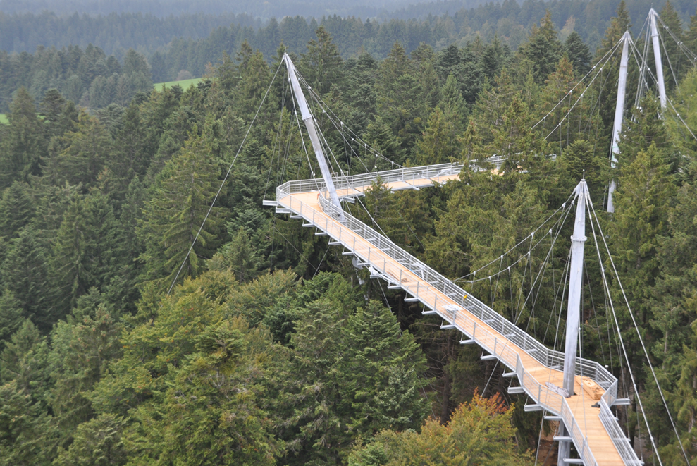 Skywalk allgäu – caminho ao longo de copas de árvores