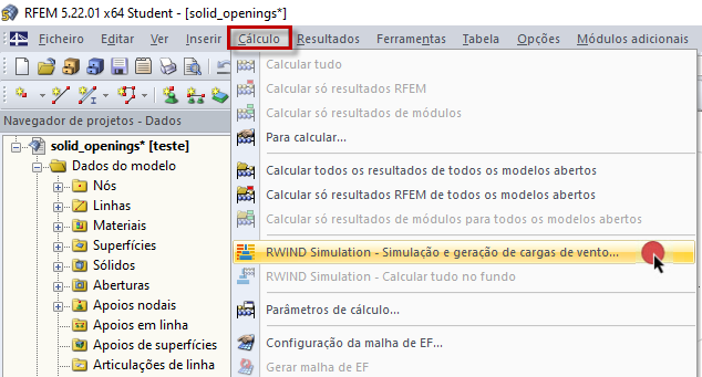 Opção para aceder ao RWIND Simulation