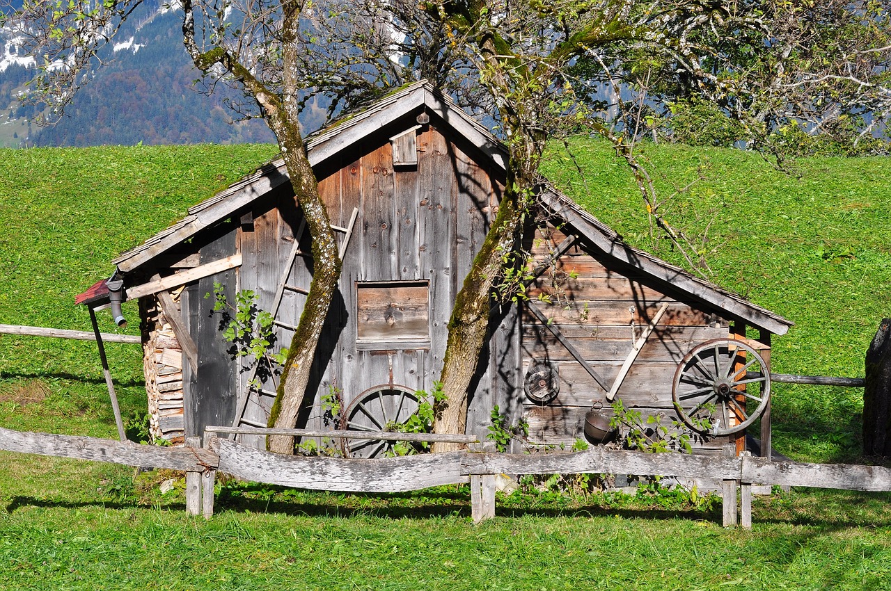 BLOG 000077 |    De Allgäu aos EUA e vice-versa. Sebastian vive em Allgäu, na Alemanha, e é carpinteiro formado. A madeira foi desde cedo o material de construção da sua